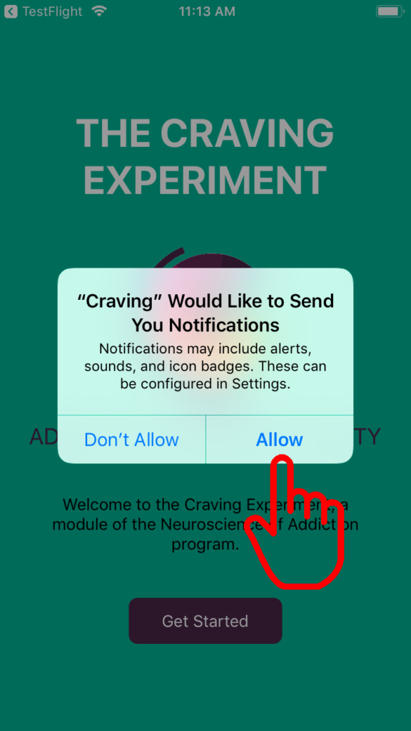 The Craving Experiment
